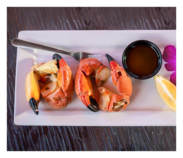 Delicious Stone Crab season is here!